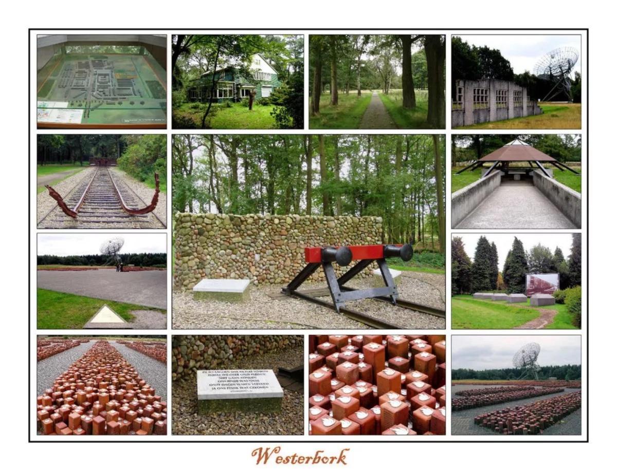 Mini Camping Drentse Monden Nieuw-Weerdinge Exteriör bild