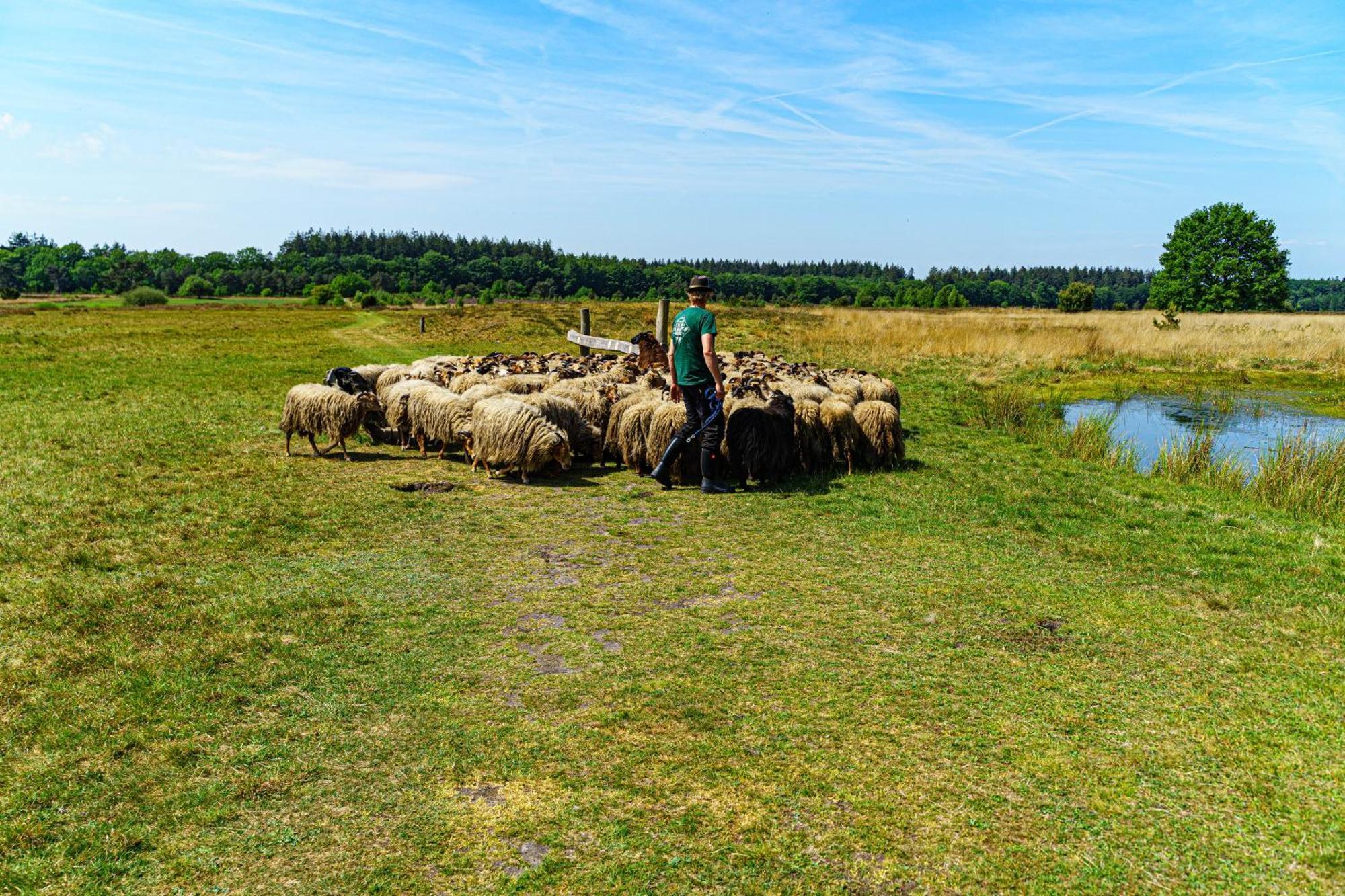 Mini Camping Drentse Monden Nieuw-Weerdinge Exteriör bild