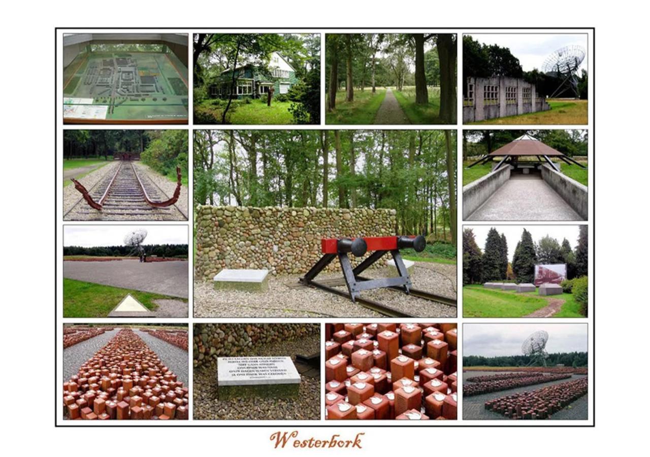 Mini Camping Drentse Monden Nieuw-Weerdinge Exteriör bild