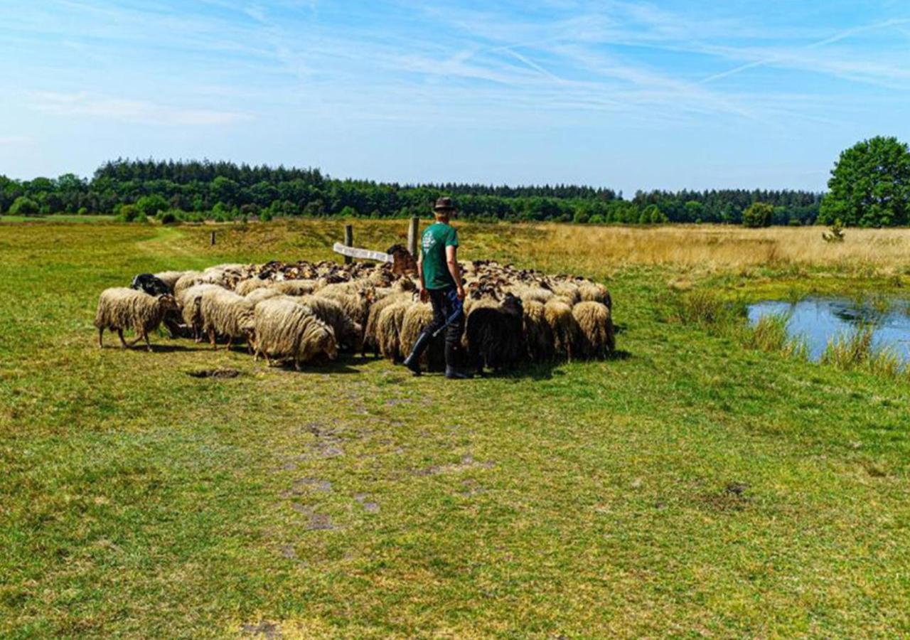 Mini Camping Drentse Monden Nieuw-Weerdinge Exteriör bild